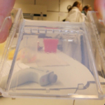 Vorbereitung einer Gelelektrophorese