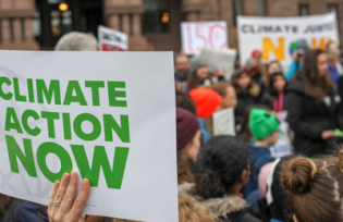 Umwelt-AG an der BS 29