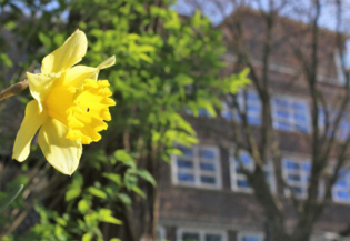 Danke an Abteilungsleitungen Hauswirtschaft Fachoberschule Berufsvorbereitung