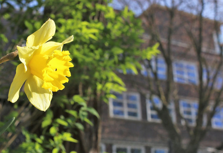 Danke an Abteilungsleitungen Hauswirtschaft Fachoberschule Berufsvorbereitung