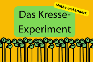 Mathe für das Fachabi